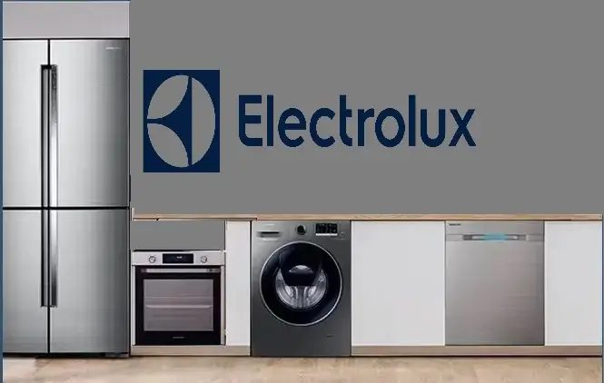 Büyükçekmece Electrolux servisi